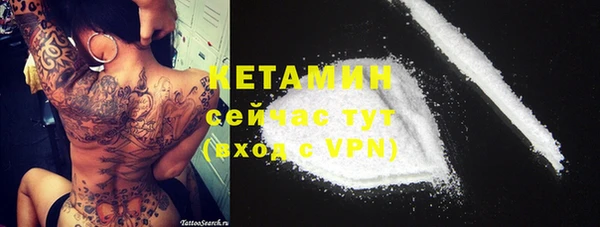 индика Киреевск