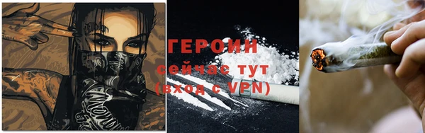 индика Киреевск