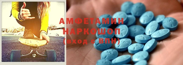 индика Киреевск