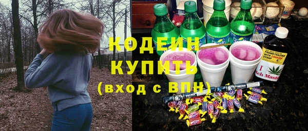 шишки Фёдоровский