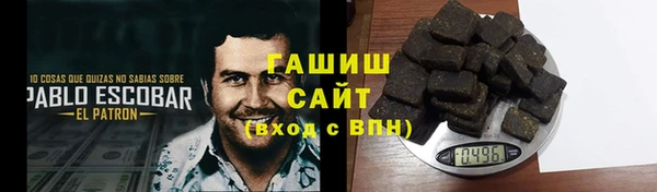 индика Киреевск