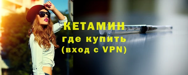 индика Киреевск