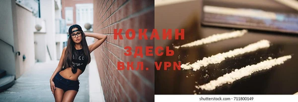индика Киреевск