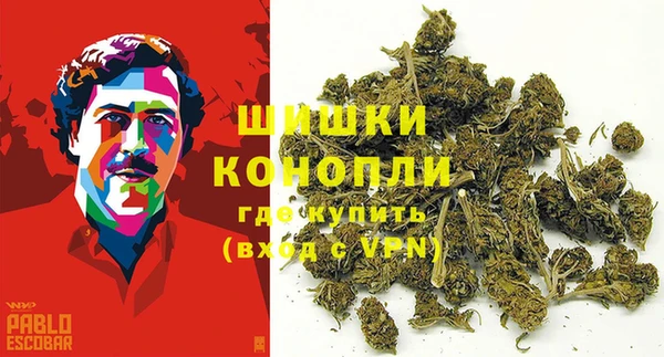 индика Киреевск
