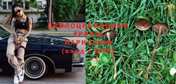 индика Киреевск