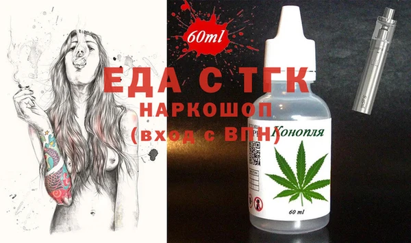 индика Киреевск