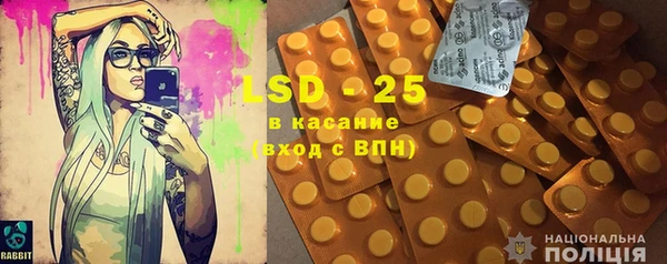 индика Киреевск