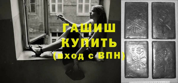индика Киреевск